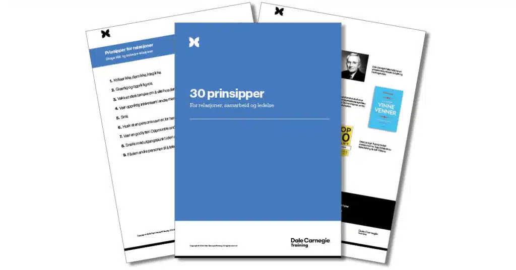 Ny 30 prinsipper